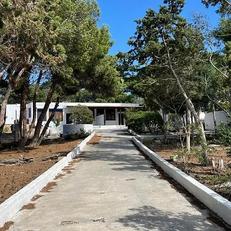 Elide פאביננה